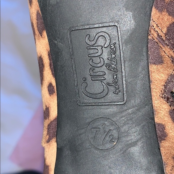 Circus by Sam Edelman cheetah print ankle boots - Picture 4 of 5